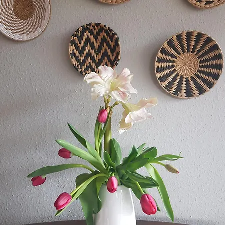 Apartment Silvoll Und Schoen Am Bad Zwischenahner Urlaub Machen *